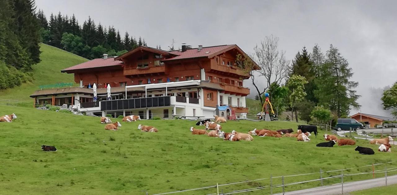 Hotel Berghaus Koglmoos Auffach Exterior foto